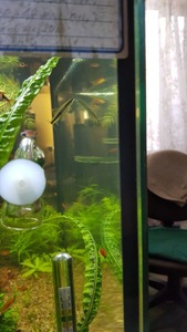 photo 2021 02 07 15 14 45