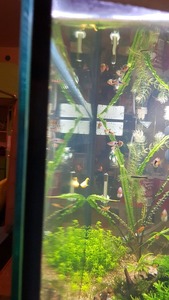 photo 2021 02 07 18 02 57