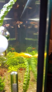 photo 2021 02 07 18 02 58