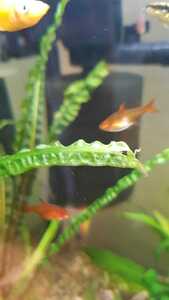 WhatsApp Image 2021 02 10 at 12.26.59