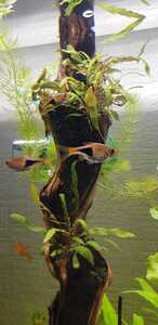 WhatsApp Image 2021 02 11 at 12.24.26 WhatsApp Image 2021 02 11 at 12.24.26