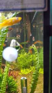 WhatsApp Image 2021 02 11 at 12.24.34 (1) WhatsApp Image 2021 02 11 at 12.24.34 (1)