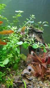 WhatsApp Image 2021 02 12 at 15.51.32 WhatsApp Image 2021 02 12 at 15.51.32