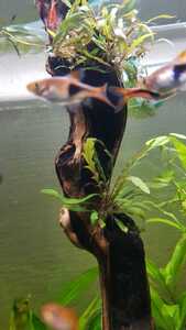 WhatsApp Image 2021 02 12 at 19.20.29 WhatsApp Image 2021 02 12 at 19.20.29