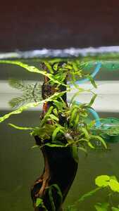 WhatsApp Image 2021 02 12 at 15.51.32 WhatsApp Image 2021 02 12 at 15.51.32