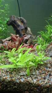 WhatsApp Image 2021 02 14 at 13.27.58 (1) WhatsApp Image 2021 02 14 at 13.27.58 (1)