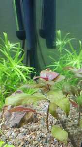 WhatsApp Image 2021 02 14 at 13.27.58 WhatsApp Image 2021 02 14 at 13.27.58