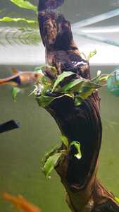 WhatsApp Image 2021 02 14 at 13.27.58 (2) WhatsApp Image 2021 02 14 at 13.27.58 (2)