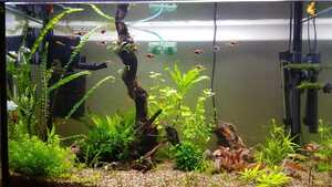 WhatsApp Image 2021 02 14 at 13.29.12 WhatsApp Image 2021 02 14 at 13.29.12