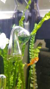 WhatsApp Image 2021 02 14 at 13.55.30 WhatsApp Image 2021 02 14 at 13.55.30