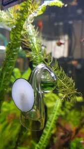 WhatsApp Image 2021 02 14 at 13.56.33 WhatsApp Image 2021 02 14 at 13.56.33