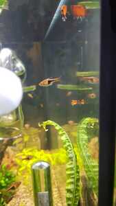 WhatsApp Image 2021 02 16 at 16.01.26 (1)