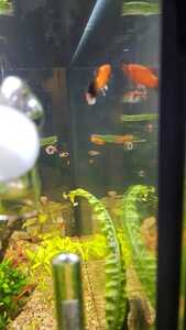 WhatsApp Image 2021 02 16 at 16.01.26