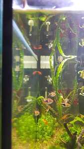 WhatsApp Image 2021 02 16 at 16.01.26 (2)