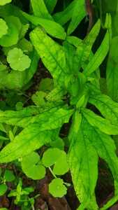 WhatsApp Image 2021 02 16 at 18.49.22 (1) WhatsApp Image 2021 02 16 at 18.49.22 (1)