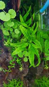 WhatsApp Image 2021 02 16 at 18.49.22 (2) WhatsApp Image 2021 02 16 at 18.49.22 (2)