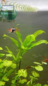 WhatsApp Image 2021 02 16 at 18.49.22 (3) WhatsApp Image 2021 02 16 at 18.49.22 (3)