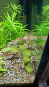 WhatsApp Image 2021 02 16 at 18.49.22 WhatsApp Image 2021 02 16 at 18.49.22