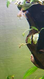 WhatsApp Image 2021 02 16 at 18.49.21 (1) WhatsApp Image 2021 02 16 at 18.49.21 (1)