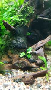 WhatsApp Image 2021 02 16 at 18.49.21 (2) WhatsApp Image 2021 02 16 at 18.49.21 (2)