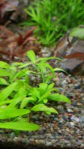 WhatsApp Image 2021 02 16 at 18.49.21 (3) WhatsApp Image 2021 02 16 at 18.49.21 (3)