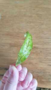 WhatsApp Image 2021 02 19 at 11.22.04 (1)