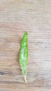 WhatsApp Image 2021 02 19 at 11.22.05