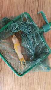 WhatsApp Image 2021 02 19 at 11.22.04