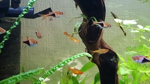 photo 2021 02 19 13 24 01 photo 2021 02 19 13 24 01