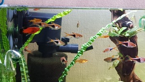 photo 2021 02 19 13 24 28 photo 2021 02 19 13 24 28