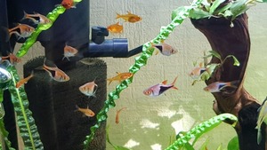 photo 2021 02 19 13 24 24 photo 2021 02 19 13 24 24