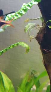 WhatsApp Image 2021 02 20 at 13.30.14 (1)