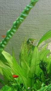 WhatsApp Image 2021 02 20 at 13.30.14 (3)