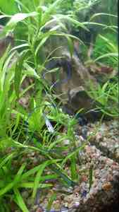 WhatsApp Image 2021 02 20 at 13.30.14 (4)