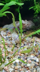 WhatsApp Image 2021 02 20 at 13.30.14 (2)