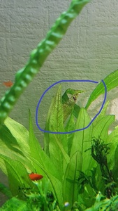 WhatsApp Image 2021 02 20 at 13.30.14 (5)