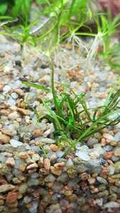 WhatsApp Image 2021 02 20 at 13.30.15