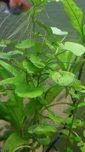 WhatsApp Image 2021 02 20 at 13.30.14 (6)