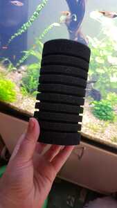 WhatsApp Image 2021 02 20 at 14.50.26 WhatsApp Image 2021 02 20 at 14.50.26