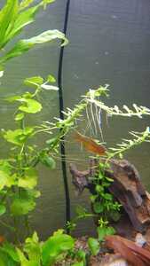 WhatsApp Image 2021 02 20 at 18.48.44