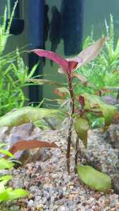 WhatsApp Image 2021 02 20 at 18.48.44 (1)