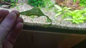 WhatsApp Image 2021 02 20 at 20.15.38 WhatsApp Image 2021 02 20 at 20.15.38