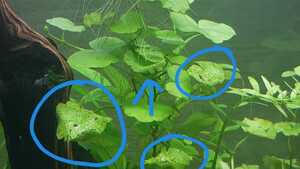 WhatsApp Image 2021 02 22 at 12.21.03 (3) WhatsApp Image 2021 02 22 at 12.21.03 (3)