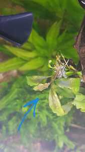 WhatsApp Image 2021 02 22 at 12.21.03 (2) WhatsApp Image 2021 02 22 at 12.21.03 (2)