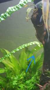 WhatsApp Image 2021 02 22 at 12.21.04 (1) WhatsApp Image 2021 02 22 at 12.21.04 (1)