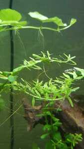 WhatsApp Image 2021 02 25 at 12.45.51 (2) WhatsApp Image 2021 02 25 at 12.45.51 (2)