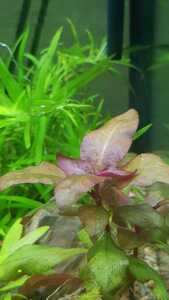 WhatsApp Image 2021 02 25 at 12.45.51 (4) WhatsApp Image 2021 02 25 at 12.45.51 (4)