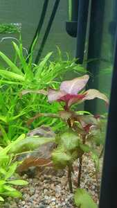 WhatsApp Image 2021 02 25 at 12.45.51 (3) WhatsApp Image 2021 02 25 at 12.45.51 (3)