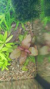 WhatsApp Image 2021 02 25 at 12.45.51 (5) WhatsApp Image 2021 02 25 at 12.45.51 (5)