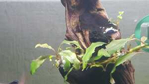 WhatsApp Image 2021 02 25 at 12.45.51 (1) WhatsApp Image 2021 02 25 at 12.45.51 (1)